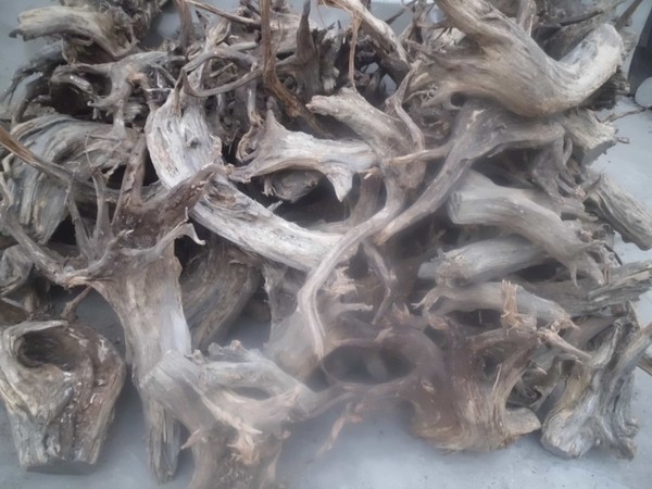 纪念紫禁城建成600年:故宫博物院将推出系列文化活动|火狐电竞平台(图1) 火狐电竞平台