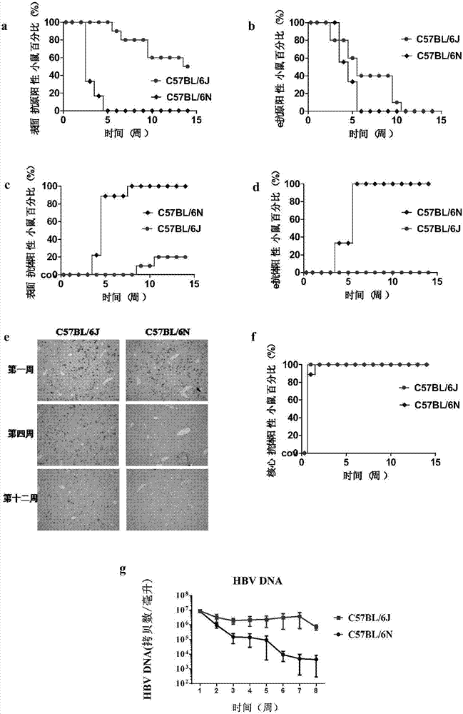 火狐电竞平台|公益文化:慈善艺术品拍卖点亮肢残患者“心灯”(图1) 火狐电竞平台