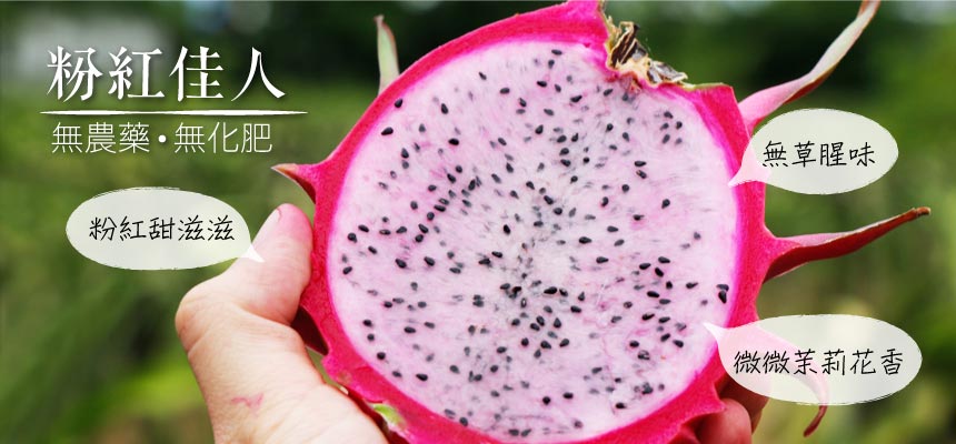 昔日古玩行是什么样?作者:陈飞2020-02-1110:07:28来源:北京日报民国年间的古玩铺中除了小件文物,还有大型“火狐电竞官网”(图1) 火狐电竞平台