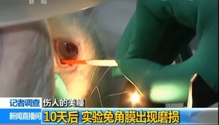 古玩收藏的种类_火狐电竞平台(图4) 火狐电竞