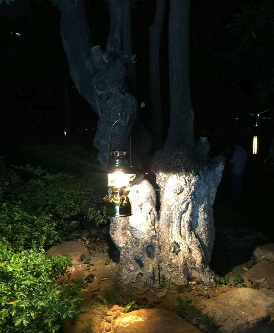 【火狐电竞平台】首款随温度变色的染发剂 PRAVANA温感变色染发膏惊爆眼球(图2) 火狐电竞