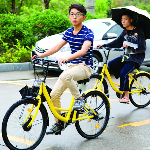 火狐电竞官网-彩钻迷人眼彩宝俏市场(图3) 火狐电竞平台