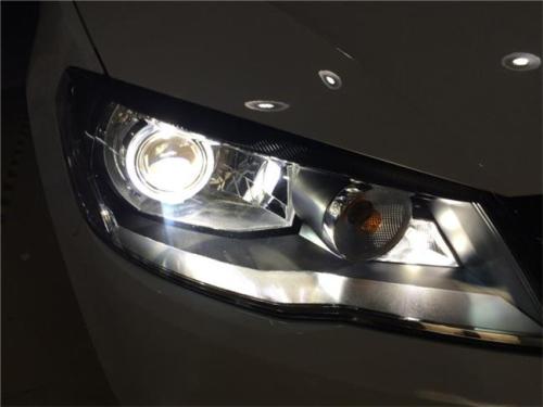 唯有国花争红色一一红心伟业举办“甲骨文贺信”书法笔会【火狐电竞】(图1) 火狐电竞平台