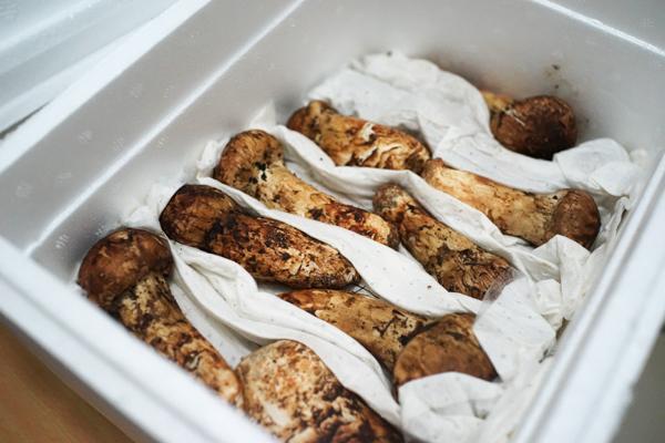 自测:乳房疾病7征兆【火狐电竞平台】(图1) 火狐电竞平台