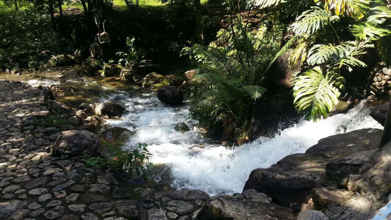 为何月经期间不能同房【火狐电竞】(图1) 火狐电竞