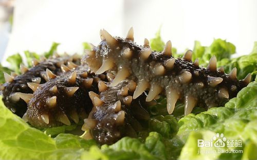 火狐电竞平台:哪些因素导致女性月经提前(图1) 火狐电竞官网