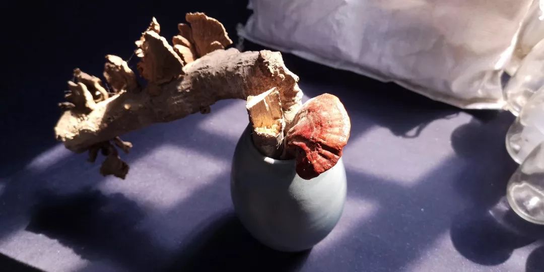 丹尼尔克雷格确定卸任007 明年上映的《007:无暇赴死》将是最后一部【火狐电竞】(图2) 火狐电竞平台