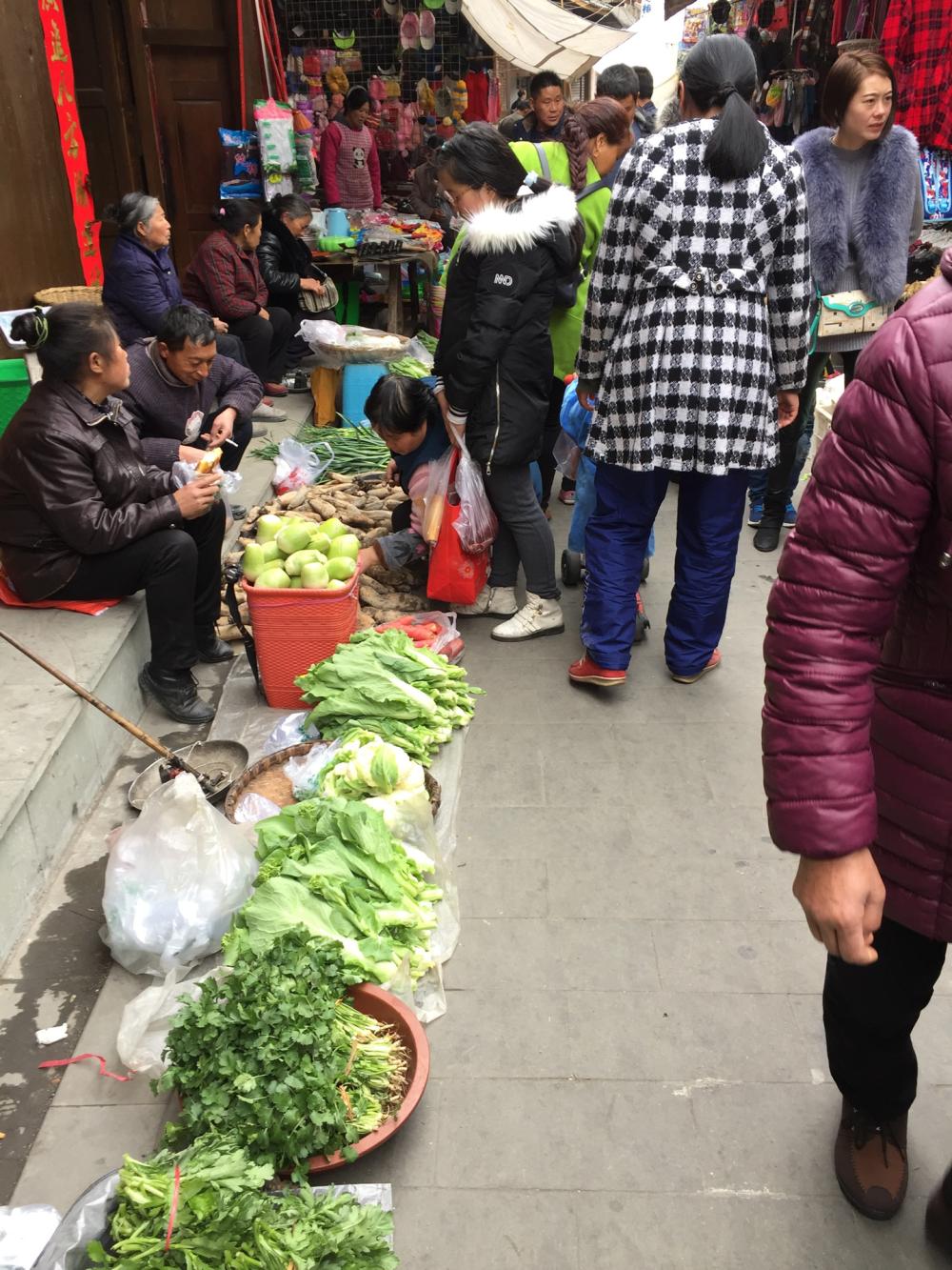 火狐电竞|西藏规模最大古籍普查工程取得丰硕成果(图1) 火狐电竞官网