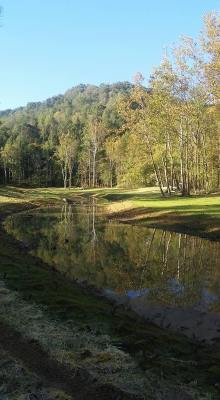 <h1>数字化时代下,书法教育的危与机_火狐电竞平台(图1) 火狐电竞官网