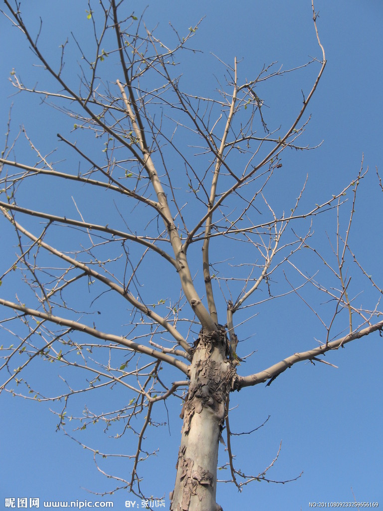 “火狐电竞平台”国内首部滑雪网剧《我的单板女孩》开播 李川康宁携手打响雪场逆袭战(图2) 火狐电竞官网