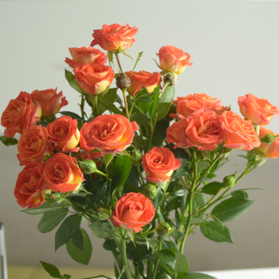 火狐电竞_《美食大冒险之英雄烩》终极海报国庆档高品质国漫来袭(图1) 火狐电竞官网