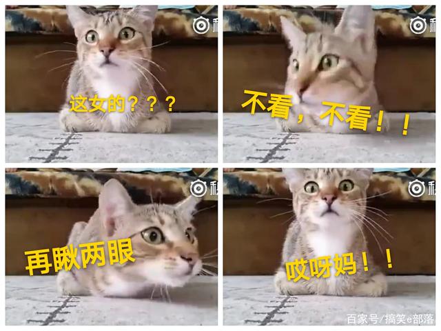 哺乳妈妈须知:奶水过多不挤掉会致乳腺炎-火狐电竞(图4) 火狐电竞平台