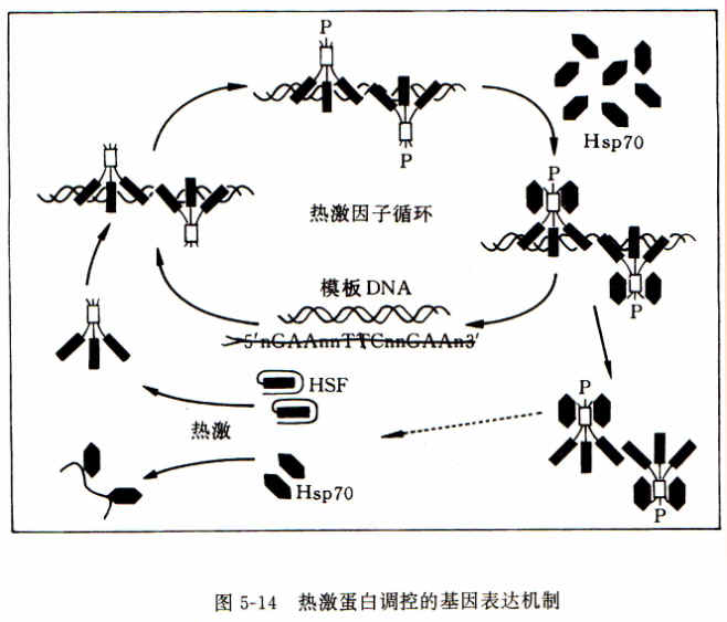 火狐电竞