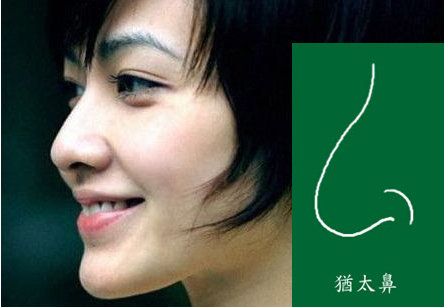 女吃木瓜炖雪蛤患巨乳症 雌激素勿乱补|火狐电竞平台(图1) 火狐电竞