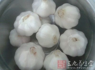 火狐电竞平台