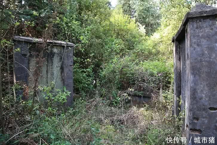 过度食用保健品导致乳腺癌 乳房疼痛是乳腺癌的征兆?|火狐电竞平台(图3) 火狐电竞平台