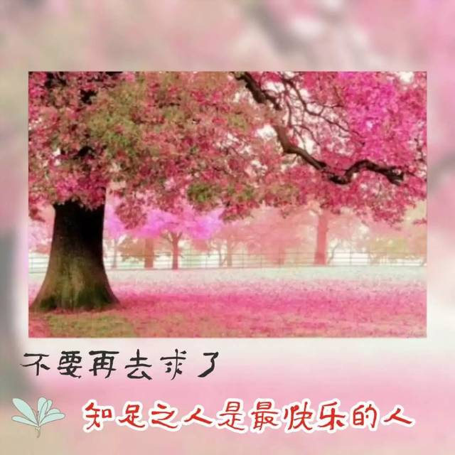 《灰狗》《你是我朋友》 汤姆·汉克斯2019-2020年上映新片推荐“火狐电竞平台”(图2) 火狐电竞